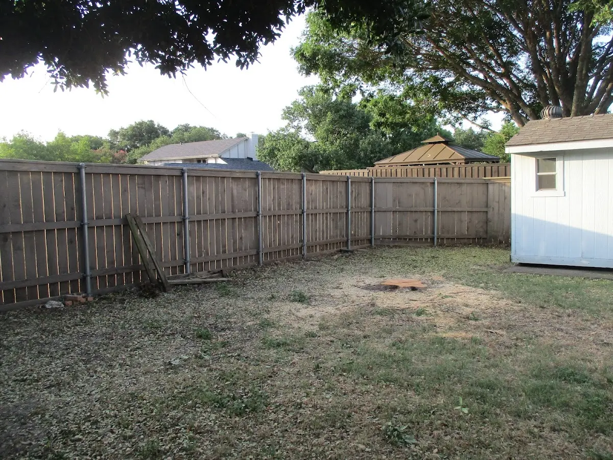 Cleared yard after professional tree removal in North Bend